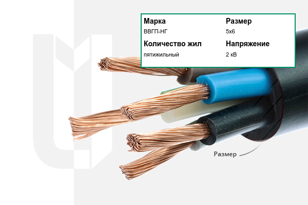 Силовой кабель ВВГП-НГ 5х6 мм